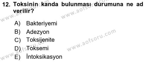 Temel Veteriner Mikrobiyoloji ve İmmünoloji Dersi 2023 - 2024 Yılı (Vize) Ara Sınavı 12. Soru