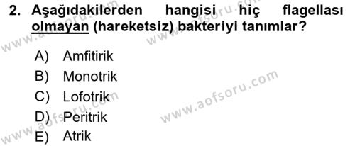 Temel Veteriner Mikrobiyoloji ve İmmünoloji Dersi 2023 - 2024 Yılı (Vize) Ara Sınavı 2. Soru