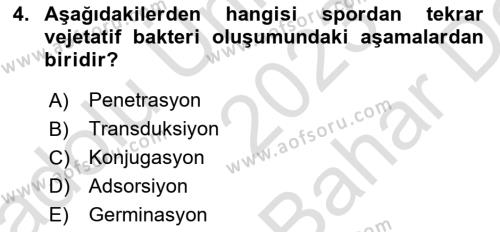 Temel Veteriner Mikrobiyoloji ve İmmünoloji Dersi 2023 - 2024 Yılı (Vize) Ara Sınavı 4. Soru