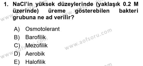 Temel Veteriner Mikrobiyoloji ve İmmünoloji Dersi 2023 - 2024 Yılı (Final) Dönem Sonu Sınavı 1. Soru