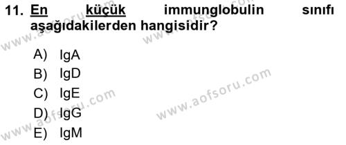 Temel Veteriner Mikrobiyoloji ve İmmünoloji Dersi 2023 - 2024 Yılı (Final) Dönem Sonu Sınavı 11. Soru