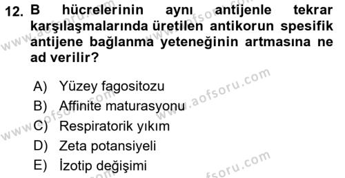 Temel Veteriner Mikrobiyoloji ve İmmünoloji Dersi 2023 - 2024 Yılı (Final) Dönem Sonu Sınavı 12. Soru