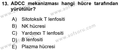 Temel Veteriner Mikrobiyoloji ve İmmünoloji Dersi 2023 - 2024 Yılı (Final) Dönem Sonu Sınavı 13. Soru