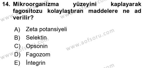 Temel Veteriner Mikrobiyoloji ve İmmünoloji Dersi 2023 - 2024 Yılı (Final) Dönem Sonu Sınavı 14. Soru