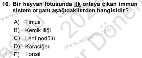 Temel Veteriner Mikrobiyoloji ve İmmünoloji Dersi 2023 - 2024 Yılı (Final) Dönem Sonu Sınavı 16. Soru