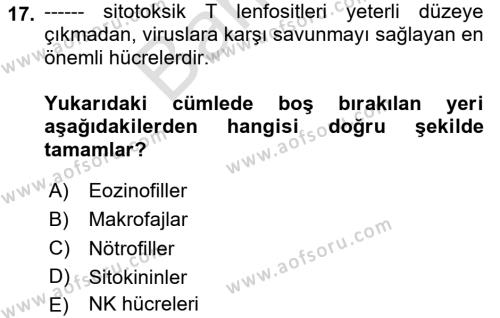 Temel Veteriner Mikrobiyoloji ve İmmünoloji Dersi 2023 - 2024 Yılı (Final) Dönem Sonu Sınavı 17. Soru