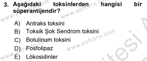 Temel Veteriner Mikrobiyoloji ve İmmünoloji Dersi 2023 - 2024 Yılı (Final) Dönem Sonu Sınavı 3. Soru