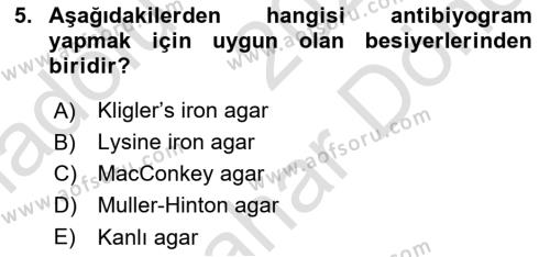 Temel Veteriner Mikrobiyoloji ve İmmünoloji Dersi 2023 - 2024 Yılı (Final) Dönem Sonu Sınavı 5. Soru