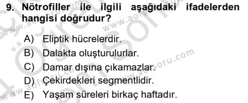 Temel Veteriner Mikrobiyoloji ve İmmünoloji Dersi 2023 - 2024 Yılı (Final) Dönem Sonu Sınavı 9. Soru