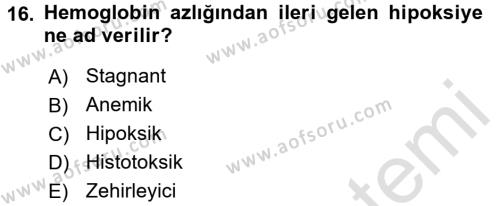 Temel Veteriner Fizyoloji Dersi 2017 - 2018 Yılı (Vize) Ara Sınavı 16. Soru