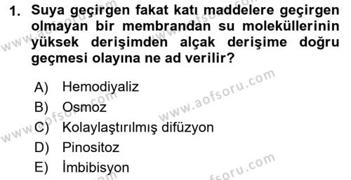 Temel Veteriner Fizyoloji Dersi 2022 - 2023 Yılı (Final) Dönem Sonu Sınavı 1. Soru