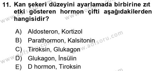 Temel Veteriner Fizyoloji Dersi 2022 - 2023 Yılı (Final) Dönem Sonu Sınavı 11. Soru