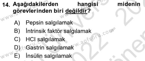 Temel Veteriner Fizyoloji Dersi 2022 - 2023 Yılı (Final) Dönem Sonu Sınavı 14. Soru