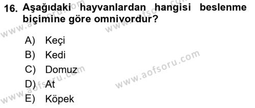 Temel Veteriner Fizyoloji Dersi 2022 - 2023 Yılı (Final) Dönem Sonu Sınavı 16. Soru