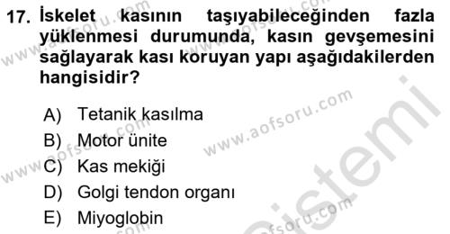 Temel Veteriner Fizyoloji Dersi 2022 - 2023 Yılı (Final) Dönem Sonu Sınavı 17. Soru