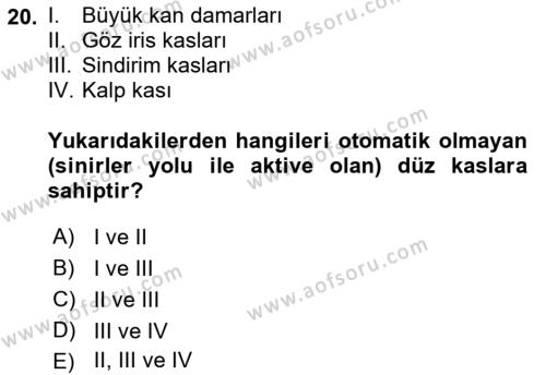 Temel Veteriner Fizyoloji Dersi 2022 - 2023 Yılı (Final) Dönem Sonu Sınavı 20. Soru