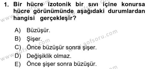 Temel Veteriner Fizyoloji Dersi 2022 - 2023 Yılı Yaz Okulu Sınavı 1. Soru