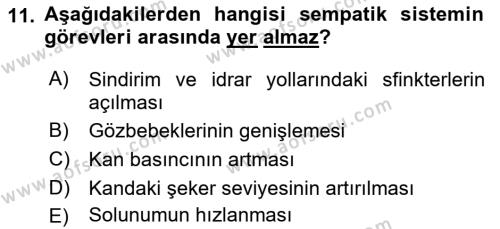 Temel Veteriner Fizyoloji Dersi 2022 - 2023 Yılı Yaz Okulu Sınavı 11. Soru