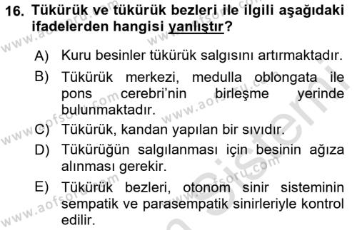 Temel Veteriner Fizyoloji Dersi 2022 - 2023 Yılı Yaz Okulu Sınavı 16. Soru