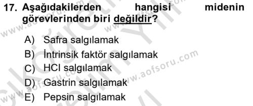 Temel Veteriner Fizyoloji Dersi 2022 - 2023 Yılı Yaz Okulu Sınavı 17. Soru