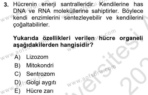 Temel Veteriner Fizyoloji Dersi 2022 - 2023 Yılı Yaz Okulu Sınavı 3. Soru