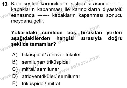 Temel Veteriner Fizyoloji Dersi 2023 - 2024 Yılı (Vize) Ara Sınavı 13. Soru