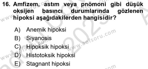 Temel Veteriner Fizyoloji Dersi 2023 - 2024 Yılı (Vize) Ara Sınavı 16. Soru