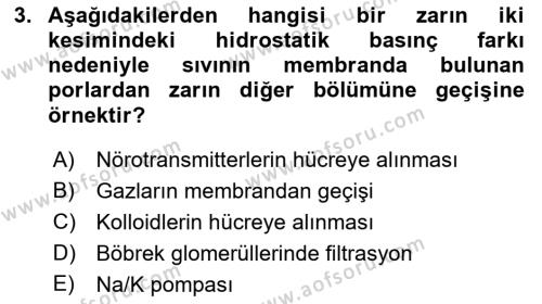 Temel Veteriner Fizyoloji Dersi 2023 - 2024 Yılı (Vize) Ara Sınavı 3. Soru