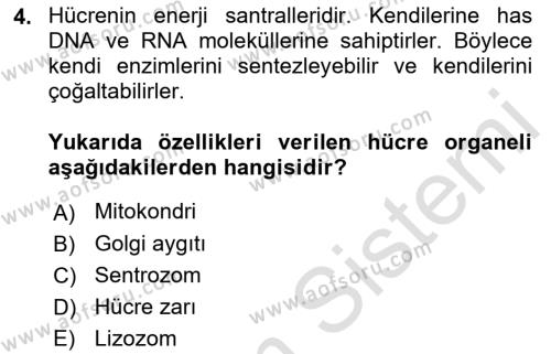 Temel Veteriner Fizyoloji Dersi 2023 - 2024 Yılı (Vize) Ara Sınavı 4. Soru