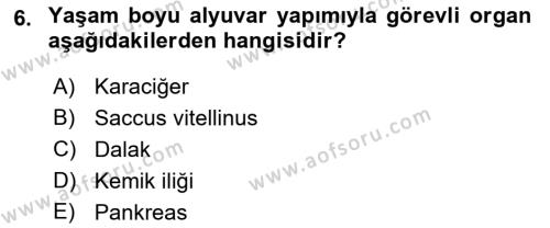 Temel Veteriner Fizyoloji Dersi 2023 - 2024 Yılı (Vize) Ara Sınavı 6. Soru