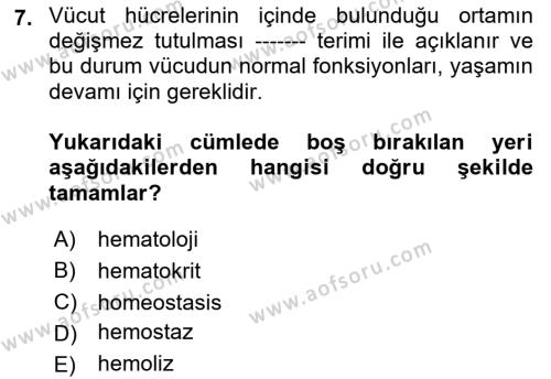 Temel Veteriner Fizyoloji Dersi 2023 - 2024 Yılı (Vize) Ara Sınavı 7. Soru