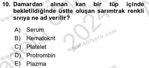 Temel Veteriner Fizyoloji Dersi 2024 - 2025 Yılı (Vize) Ara Sınavı 10. Soru