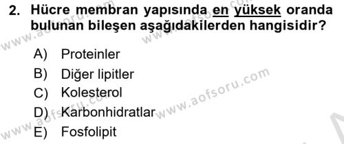 Temel Veteriner Fizyoloji Dersi 2024 - 2025 Yılı (Vize) Ara Sınavı 2. Soru