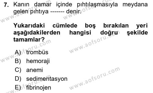 Temel Veteriner Fizyoloji Dersi 2024 - 2025 Yılı (Vize) Ara Sınavı 7. Soru