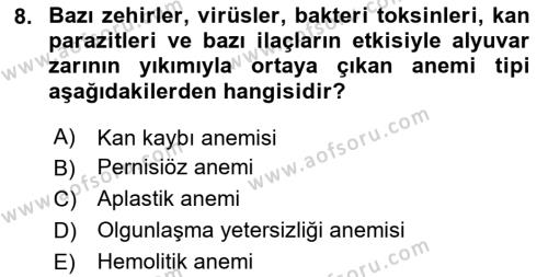 Temel Veteriner Fizyoloji Dersi 2024 - 2025 Yılı (Vize) Ara Sınavı 8. Soru