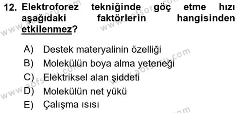 Veteriner Laboratuvar Teknikleri ve Prensipleri Dersi 2018 - 2019 Yılı Yaz Okulu Sınavı 12. Soru