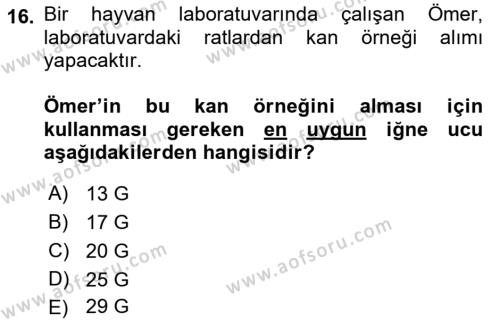 Veteriner Laboratuvar Teknikleri ve Prensipleri Dersi 2018 - 2019 Yılı Yaz Okulu Sınavı 16. Soru