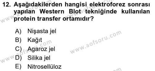 Veteriner Laboratuvar Teknikleri ve Prensipleri Dersi 2020 - 2021 Yılı Yaz Okulu Sınavı 12. Soru