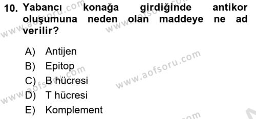 Veteriner Laboratuvar Teknikleri ve Prensipleri Dersi 2022 - 2023 Yılı Yaz Okulu Sınavı 10. Soru