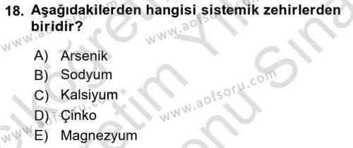 Veteriner Laboratuvar Teknikleri ve Prensipleri Dersi 2023 - 2024 Yılı (Final) Dönem Sonu Sınavı 18. Soru