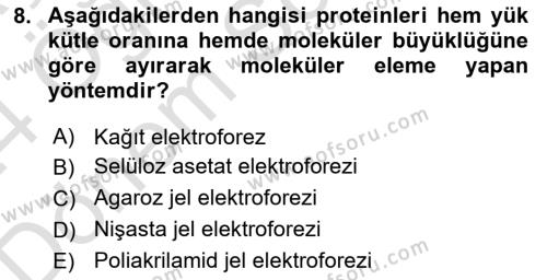 Veteriner Laboratuvar Teknikleri ve Prensipleri Dersi 2023 - 2024 Yılı (Final) Dönem Sonu Sınavı 8. Soru