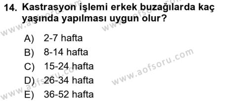 Hayvan Davranışları ve Refahı Dersi 2018 - 2019 Yılı Yaz Okulu Sınavı 14. Soru