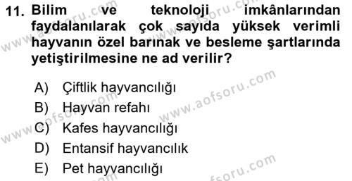 Hayvan Davranışları ve Refahı Dersi 2020 - 2021 Yılı Yaz Okulu Sınavı 11. Soru