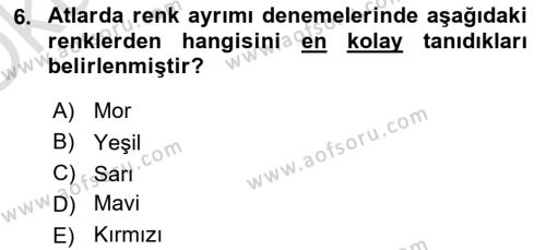 Hayvan Davranışları ve Refahı Dersi 2020 - 2021 Yılı Yaz Okulu Sınavı 6. Soru