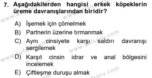 Hayvan Davranışları ve Refahı Dersi 2020 - 2021 Yılı Yaz Okulu Sınavı 7. Soru