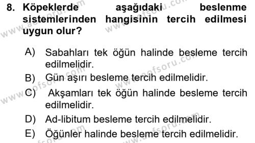 Hayvan Davranışları ve Refahı Dersi 2020 - 2021 Yılı Yaz Okulu Sınavı 8. Soru