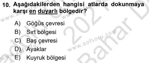 Hayvan Davranışları ve Refahı Dersi 2021 - 2022 Yılı (Vize) Ara Sınavı 10. Soru