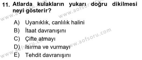 Hayvan Davranışları ve Refahı Dersi 2021 - 2022 Yılı (Vize) Ara Sınavı 11. Soru