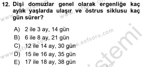 Hayvan Davranışları ve Refahı Dersi 2021 - 2022 Yılı (Vize) Ara Sınavı 12. Soru