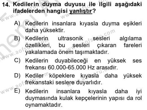 Hayvan Davranışları ve Refahı Dersi 2021 - 2022 Yılı (Vize) Ara Sınavı 14. Soru